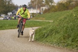 Weinfelden 2024