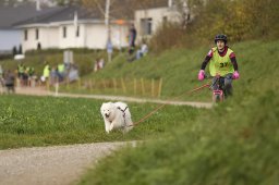 Weinfelden 2024
