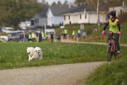 Weinfelden 2024