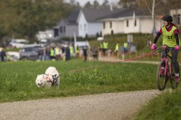 Weinfelden 2024