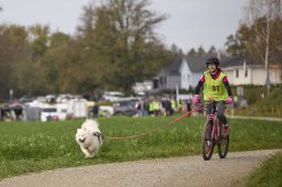 Weinfelden 2024