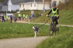 Weinfelden 2024