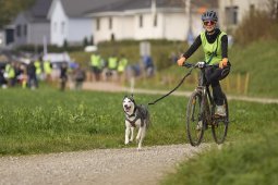 Weinfelden 2024