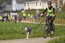 Weinfelden 2024