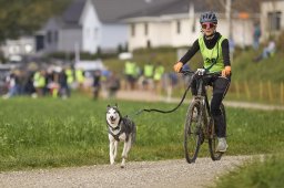 Weinfelden 2024