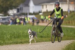 Weinfelden 2024