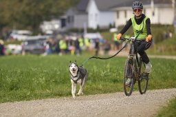 Weinfelden 2024