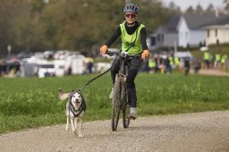 Weinfelden 2024