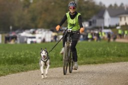 Weinfelden 2024