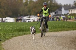 Weinfelden 2024