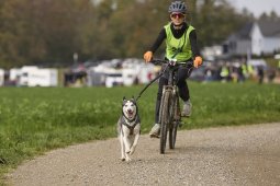 Weinfelden 2024