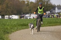 Weinfelden 2024