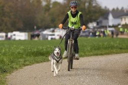 Weinfelden 2024