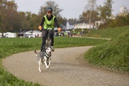 Weinfelden 2024