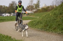 Weinfelden 2024