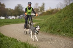 Weinfelden 2024