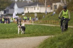 Weinfelden 2024