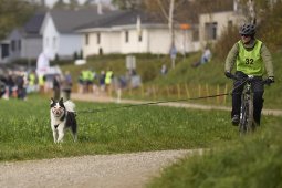 Weinfelden 2024