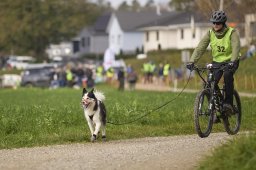 Weinfelden 2024