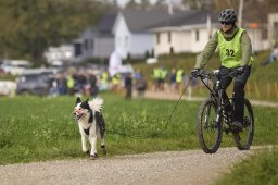 Weinfelden 2024