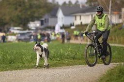 Weinfelden 2024