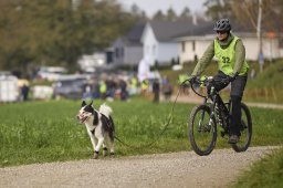 Weinfelden 2024