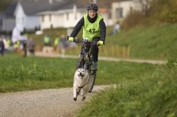 Weinfelden 2024