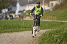 Weinfelden 2024