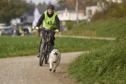 Weinfelden 2024