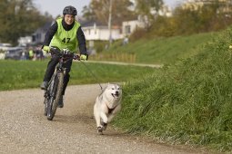 Weinfelden 2024