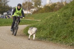 Weinfelden 2024