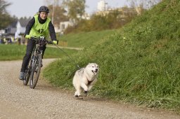 Weinfelden 2024