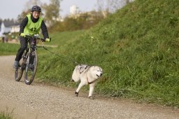 Weinfelden 2024