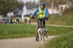 Weinfelden 2024