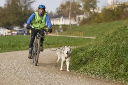 Weinfelden 2024