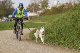 Weinfelden 2024