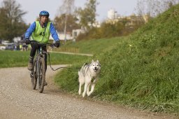 Weinfelden 2024