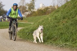 Weinfelden 2024