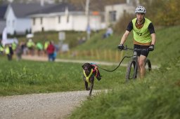 Weinfelden 2024
