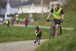 Weinfelden 2024