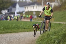 Weinfelden 2024