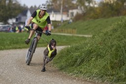 Weinfelden 2024