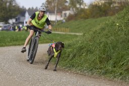 Weinfelden 2024