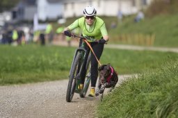 Weinfelden 2024