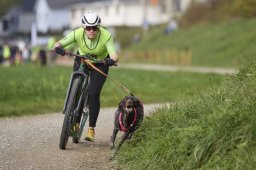 Weinfelden 2024