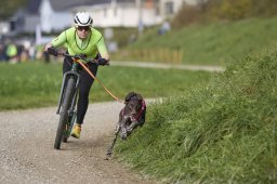 Weinfelden 2024