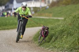 Weinfelden 2024