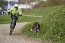 Weinfelden 2024