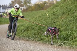 Weinfelden 2024