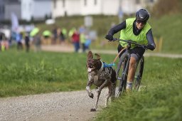 Weinfelden 2024